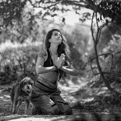 Silhouette of a person in a tree yoga pose at sunset.
